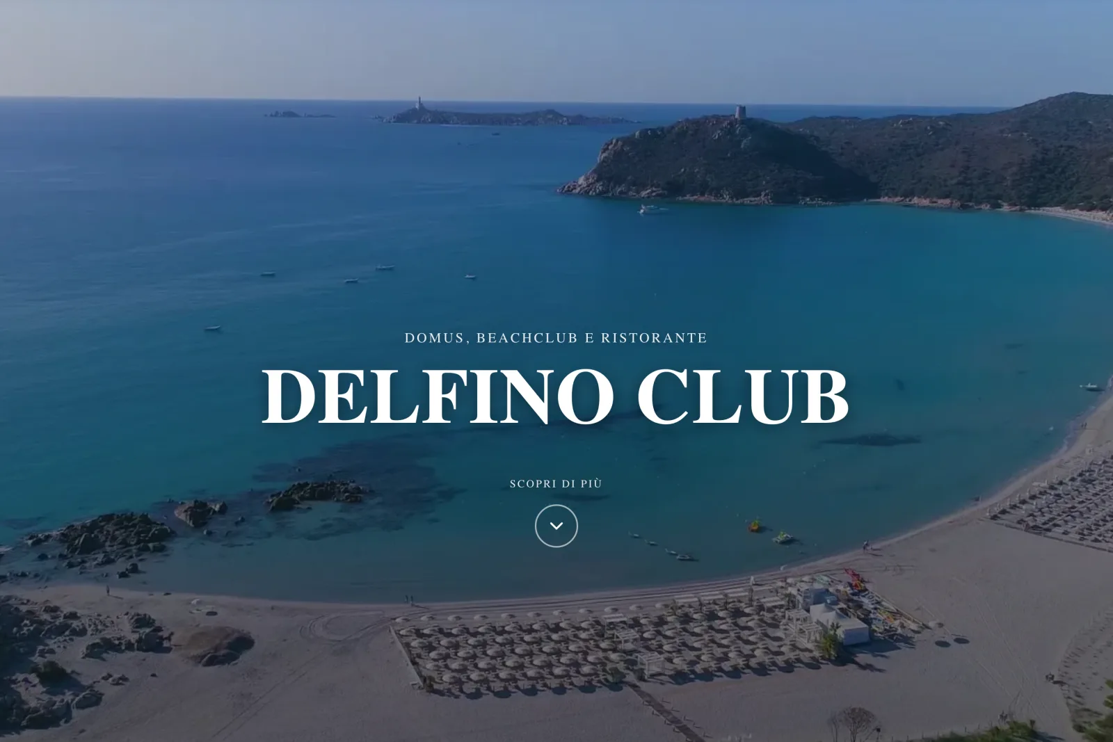 Anteprima del sito Delfino Club